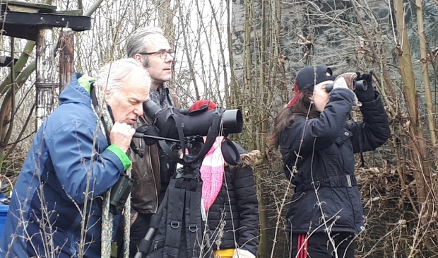 Tuinvogeltelling in het Wijkse voedselbos van Natuurlijk heel leuk samen met VNMW/IVN Wijk bij Duurstede