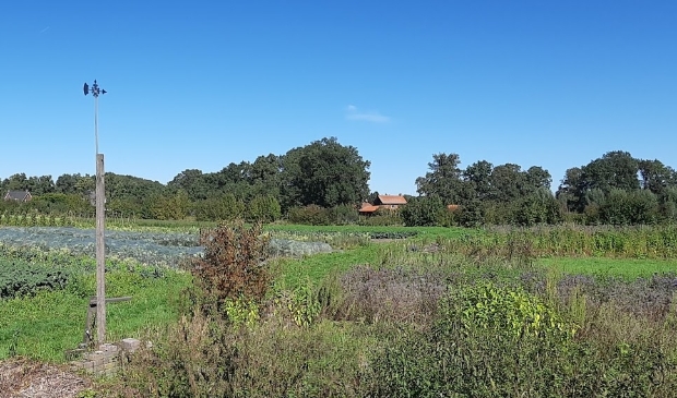 Blik op tuinderij VosBeek