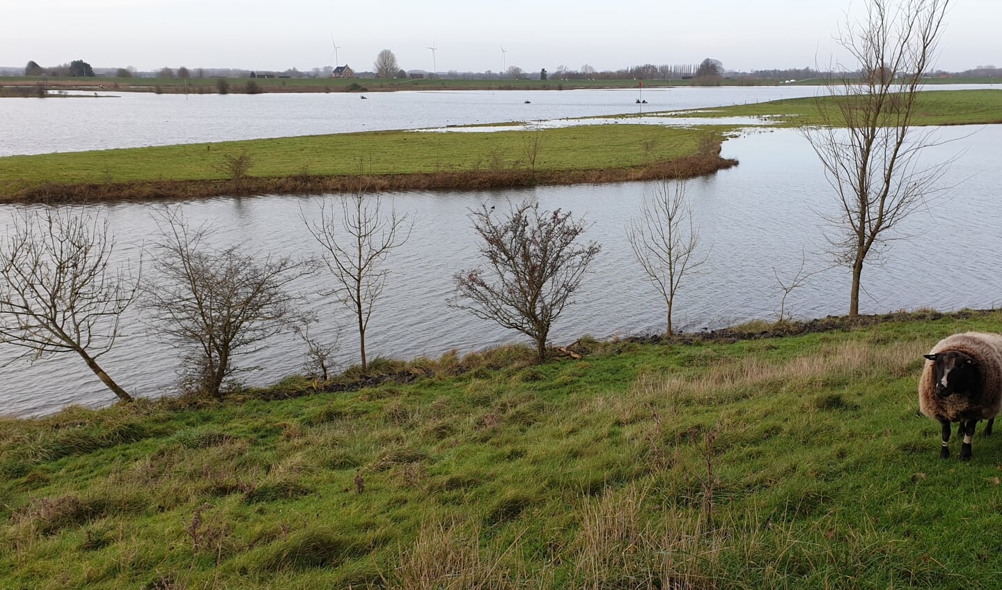 Lek, ter hoogte van Fort Honswijk, Schalkwijk