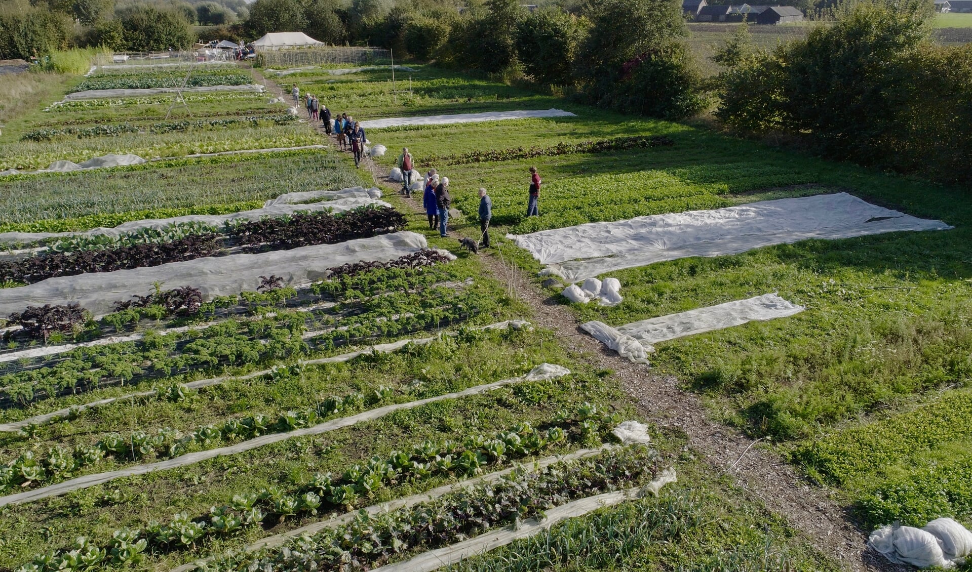 Bij het voedselbos in Scherpenzeel botst de planopzet met de er geldende bestemming 'agrarisch met waardenlandschap'.