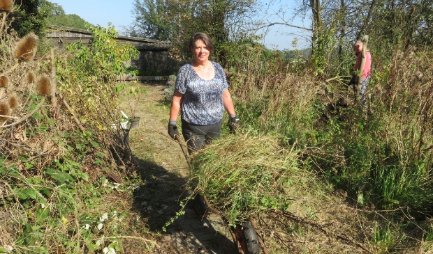 <p>Josette Veerman: ,,Leuk en dankbaar werk om te doen"</p>