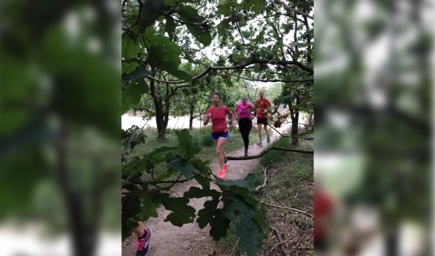 Harlopers op een trailrun
