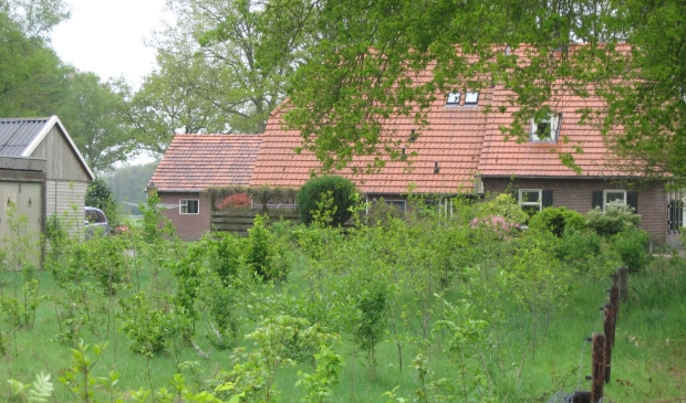 <p>Pas aangeplant vogelbosje.</p>