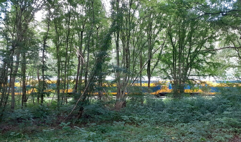 Het spoor loopt vlak langs het stuk grond van Utrechts Landschap