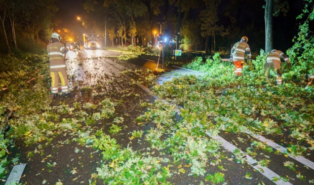 Omgewaaide bomen worden opgeruimd