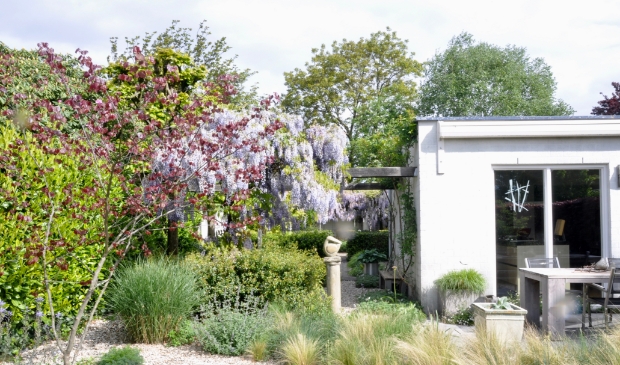 Voortuin in het voorjaar