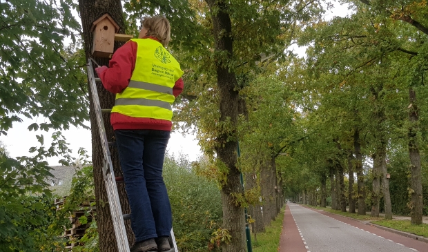 schoonmaak van nestkastjes aan de Nieuwe Steeg
