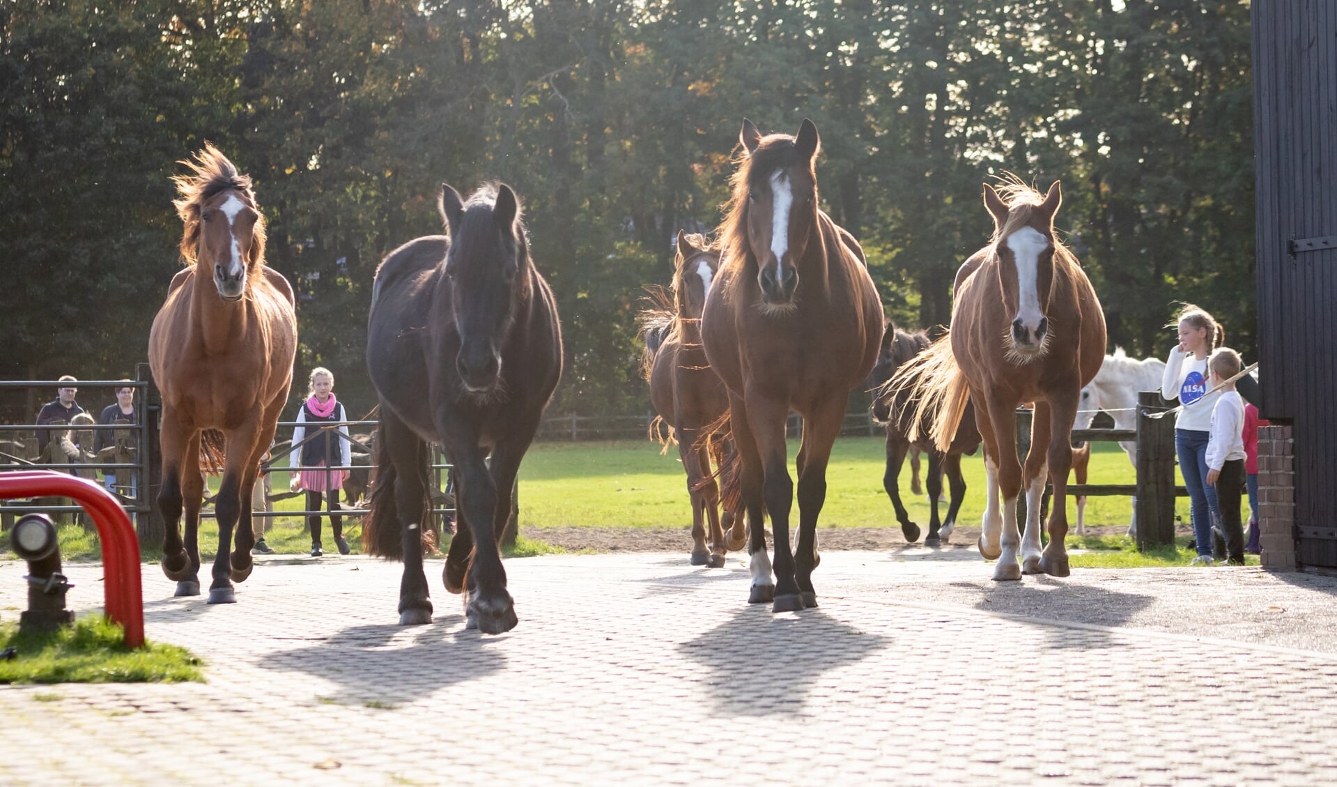Op de open dag van De Paardenkamp worden natuurlijk ook weer nieuwe gasten verwelkomd en voorgesteld.