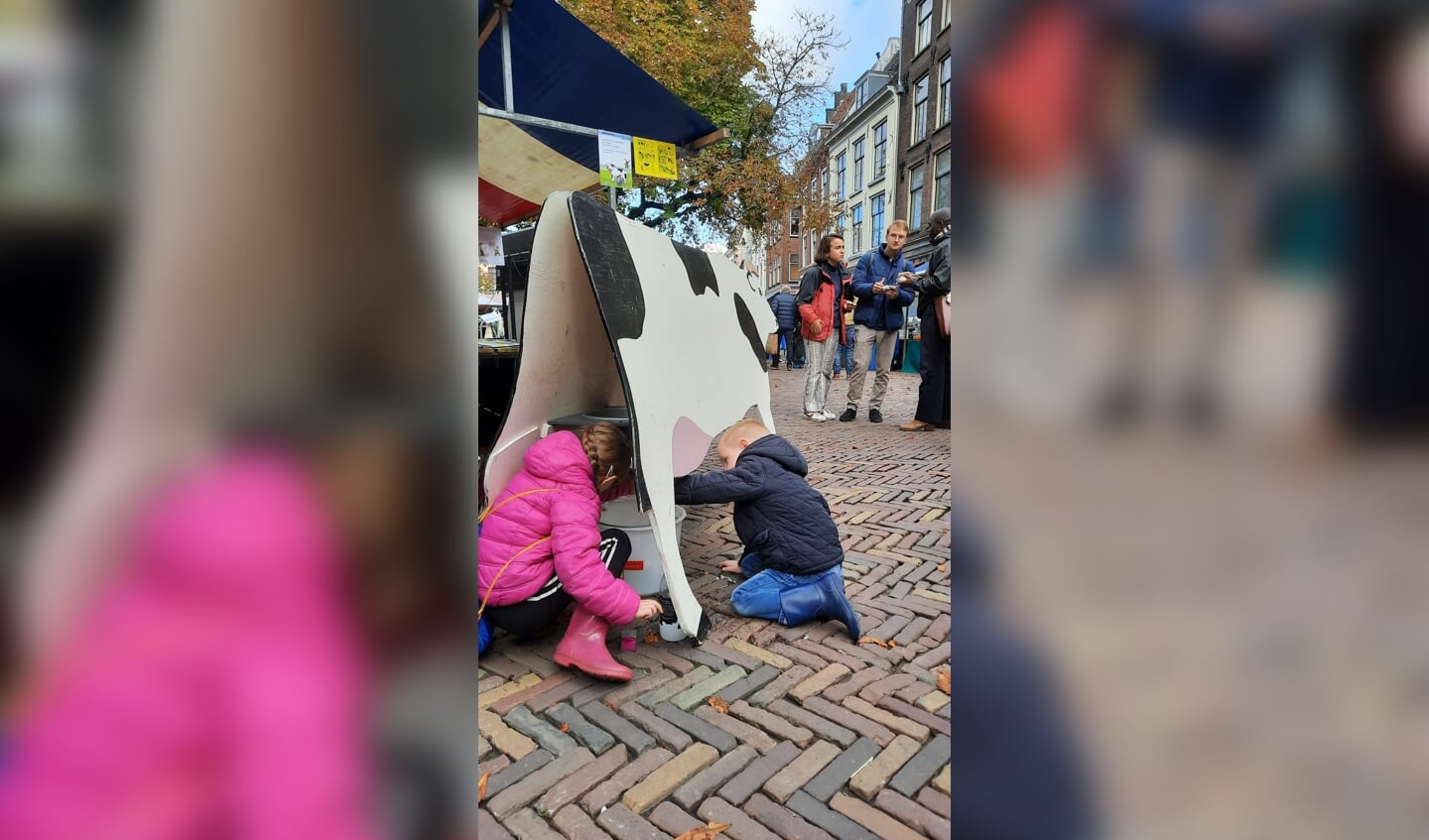 Kinderen gingen volop de uitdaging aan om een koe te melken