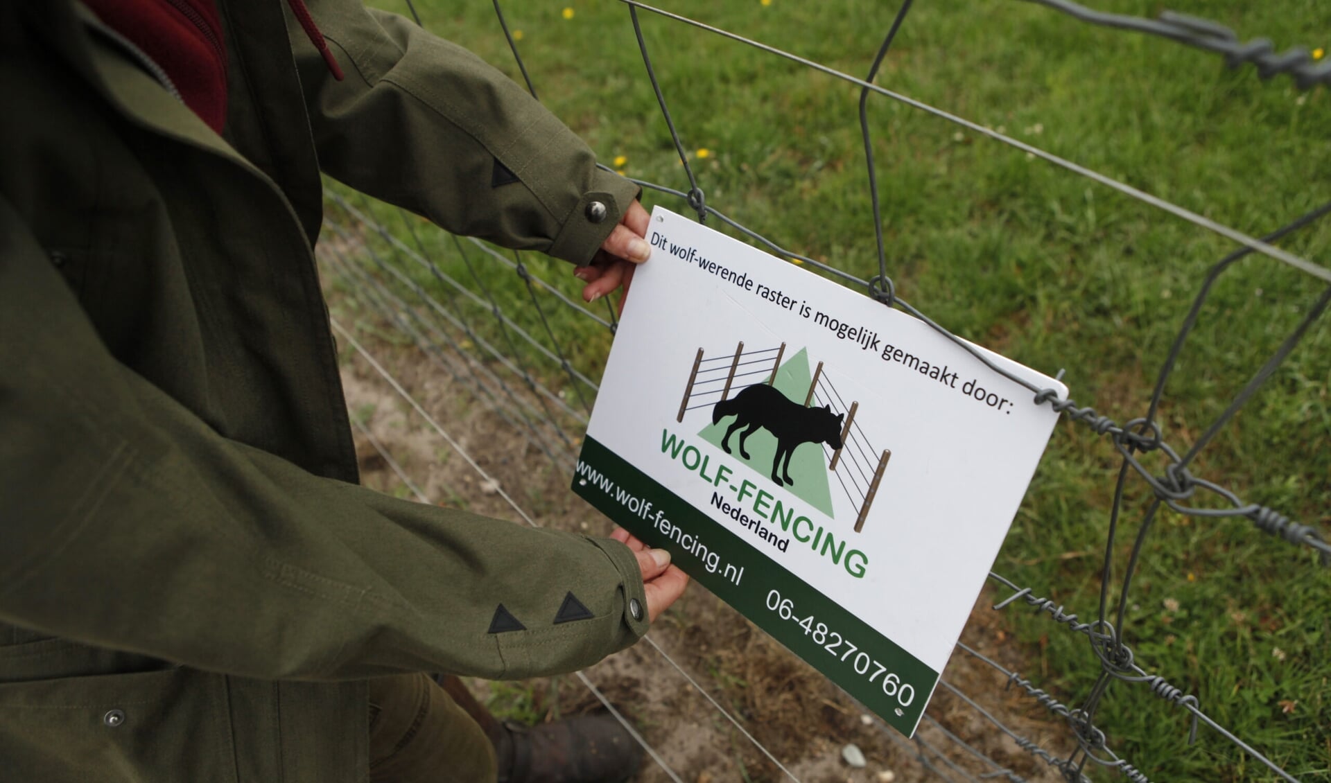 Wolf-Fencing Nederland adviseert veehouders, vaak in samenwerking met de overheid, bij preventieve maatregelen tegen de wolf.