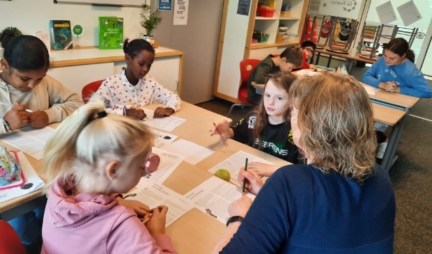 Begrijpend Lezen op de Vakantieschool