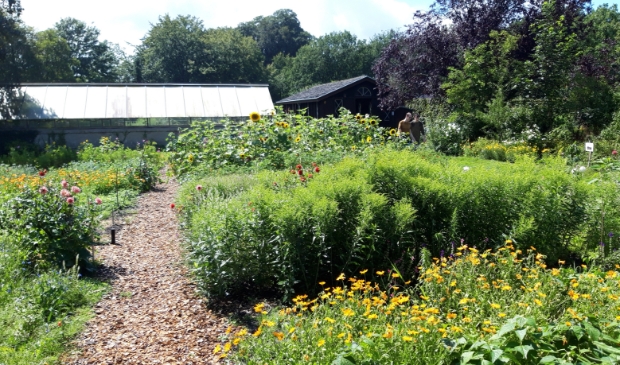 De bloemenpluktuin