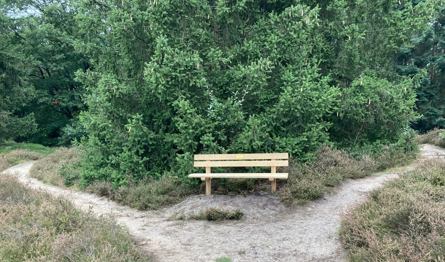 Bankje op de Platenberg bij Lunteren voor Wietze Landman.