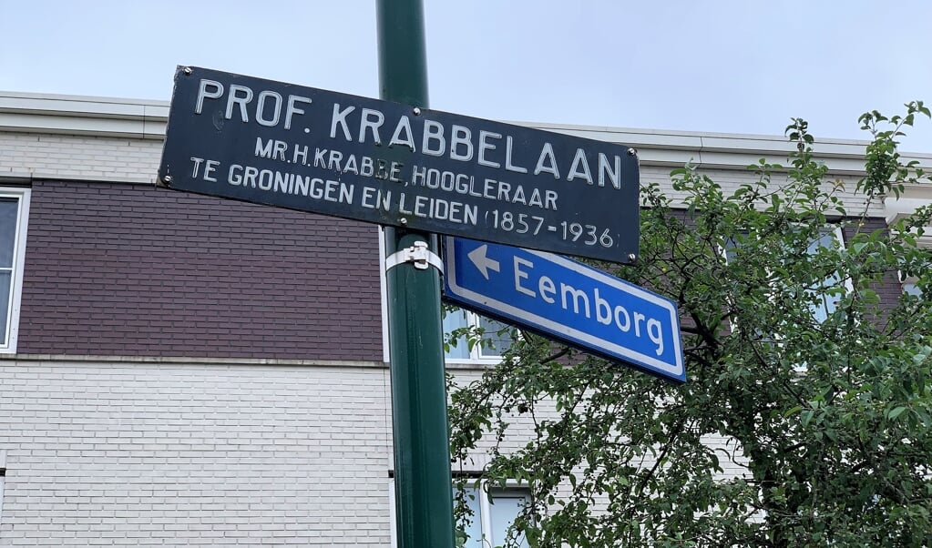 Het Gooi en Omstreken heeft een aantal huurhuizen aan de Professor Krabbelaan.