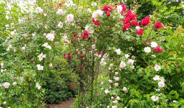 Engelse tuin