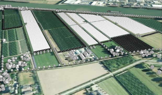 <p>De locatie van Zonnepark Wijkerbroek</p>