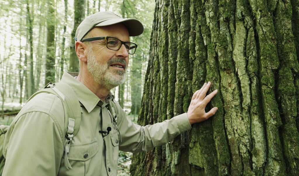 The Hidden Life of Trees, met boswachter Peter