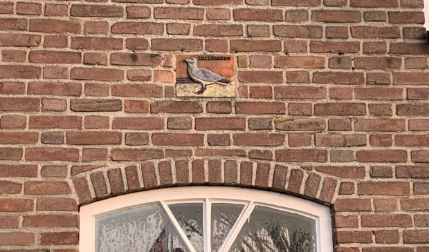 De Zilvermeeuw