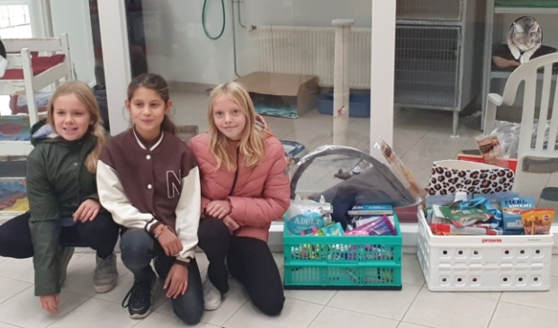 <p>Febe, Meike en Lisa met hun bijdrage voor het Dierenasiel</p>