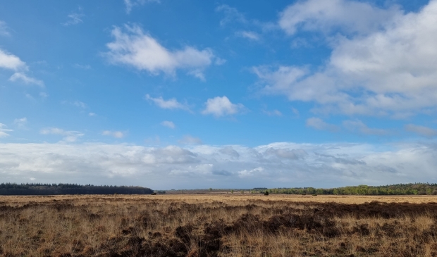 <p>,,Arme gronden, ver, ver van hier.''</p>