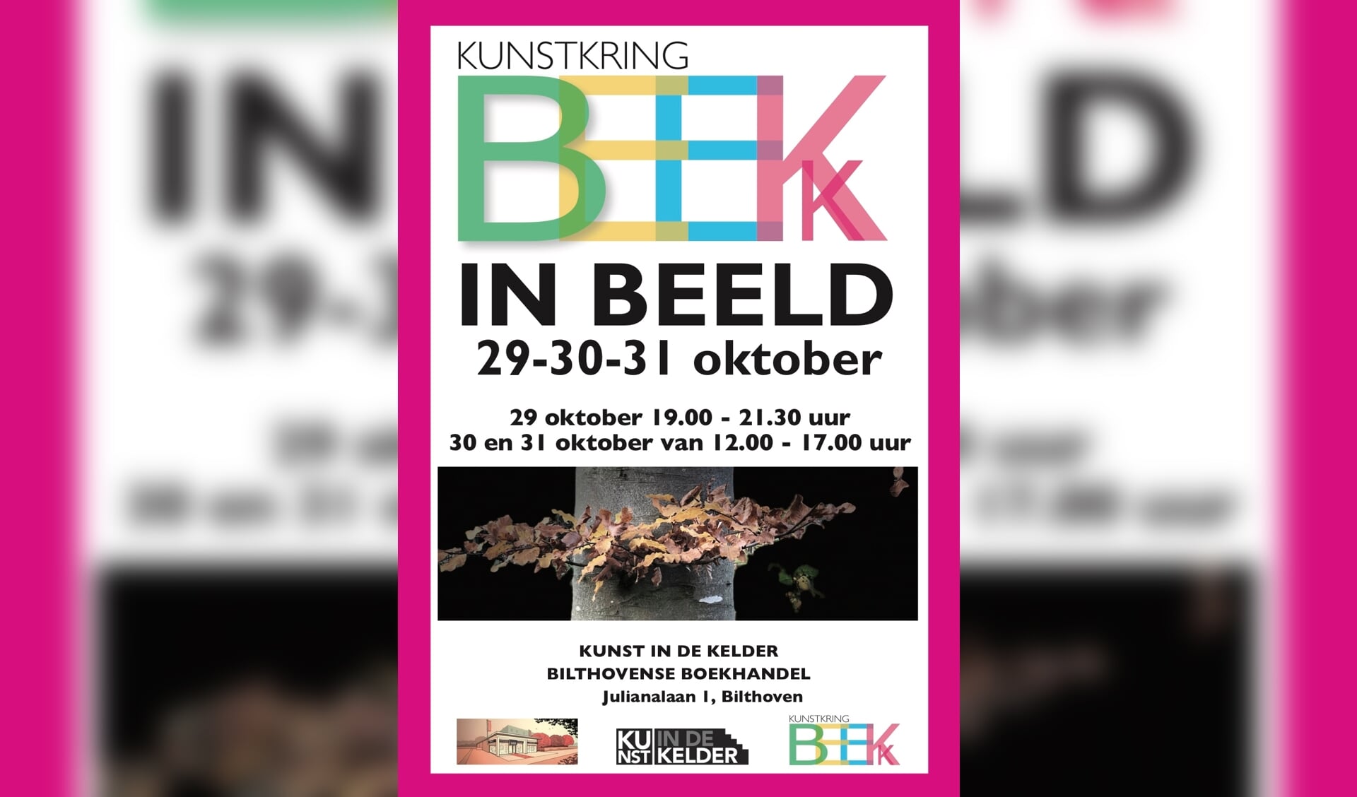 Flyer BeeKk in Beeld