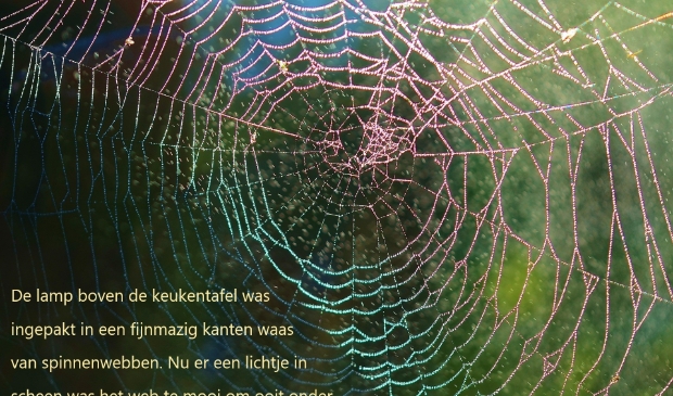 een spinnenweb met tekstfragment