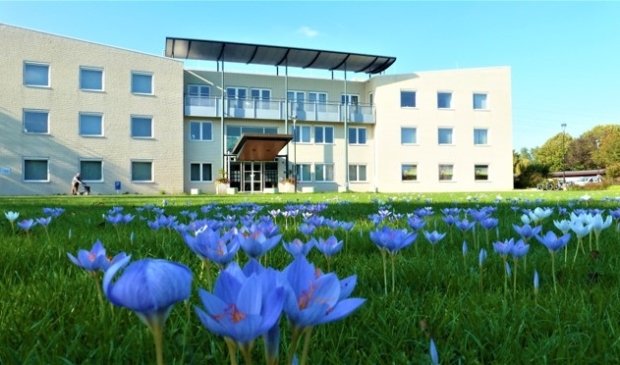 <p>De herfstkrokussen bij het gemeentehuis staan weer in bloei</p>