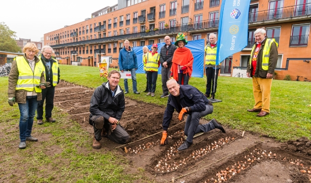 <p>Iedereen kan een doosje van 25 speciale EPN tulpen bestellen op endpolionowtulp.nl.</p>