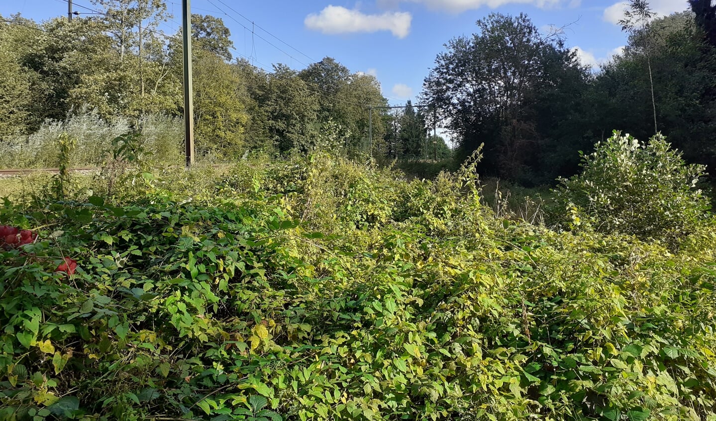 Het spoor loopt vlak langs het stuk grond van Utrechts Landschap