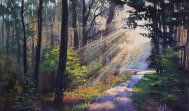 <p>Pastelschilderij van betoverend boslicht op de Wezepse hei</p>