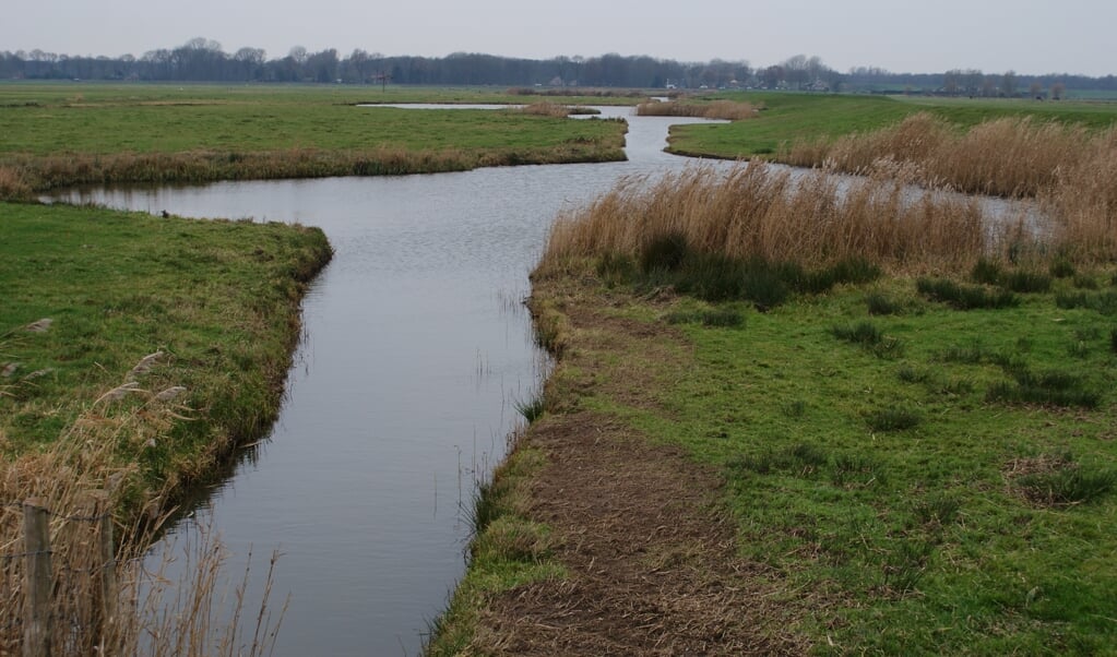 Polder Eemnes