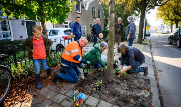 Boomspiegelfeest