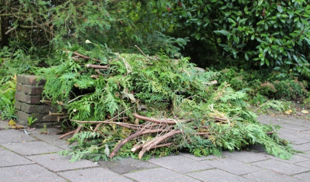 <p><strong>In de maand november organiseert Reinigingsbedrijf Midden Nederland (RMN) in de gemeente Baarn ook dit jaar een gratis ophaalronde voor snoeihout. </strong> </p>