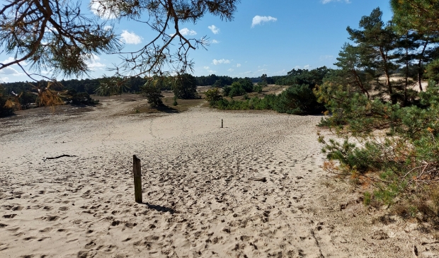 <p>Het Beekhuizerzand blijft open voor de recreant.</p>