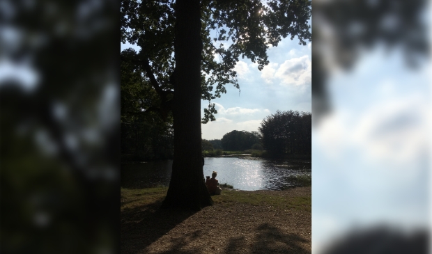 Vijver bij de Wijnberg op Groeneveld