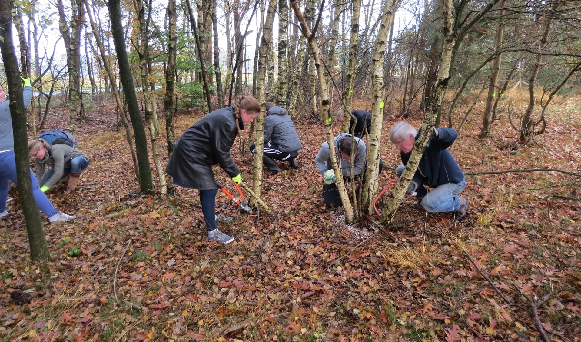 1e Natuurwerkdag op het Speulderveld 2016