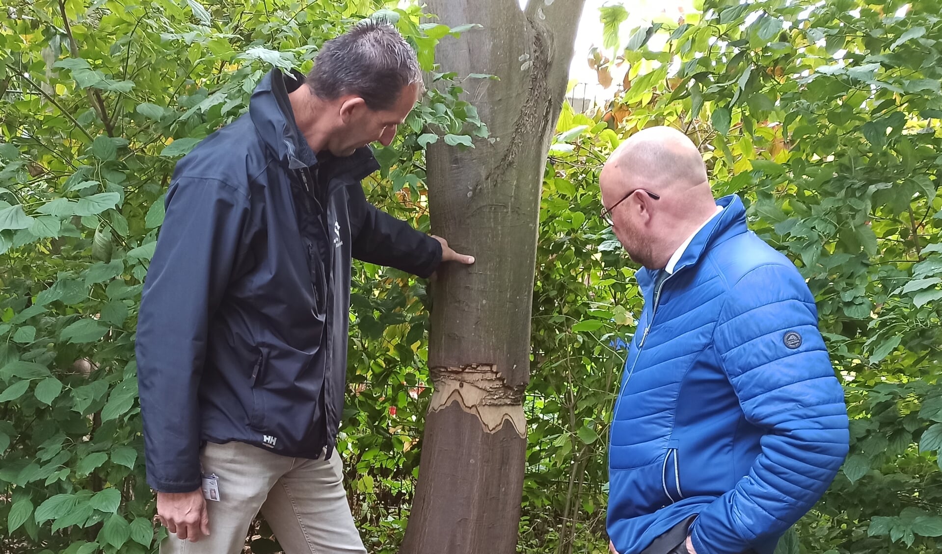 Timmers en Spek bij een van de vernielde bomen.