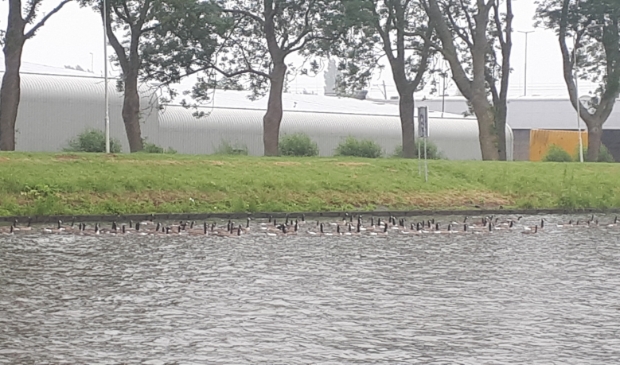 Merwedekanaal