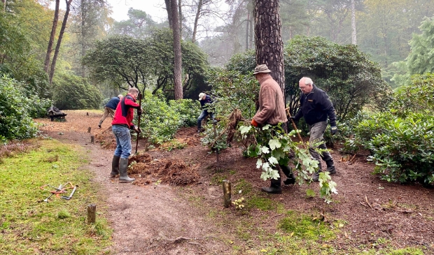 Vrijwilligers maken Heidetuin winterklaar