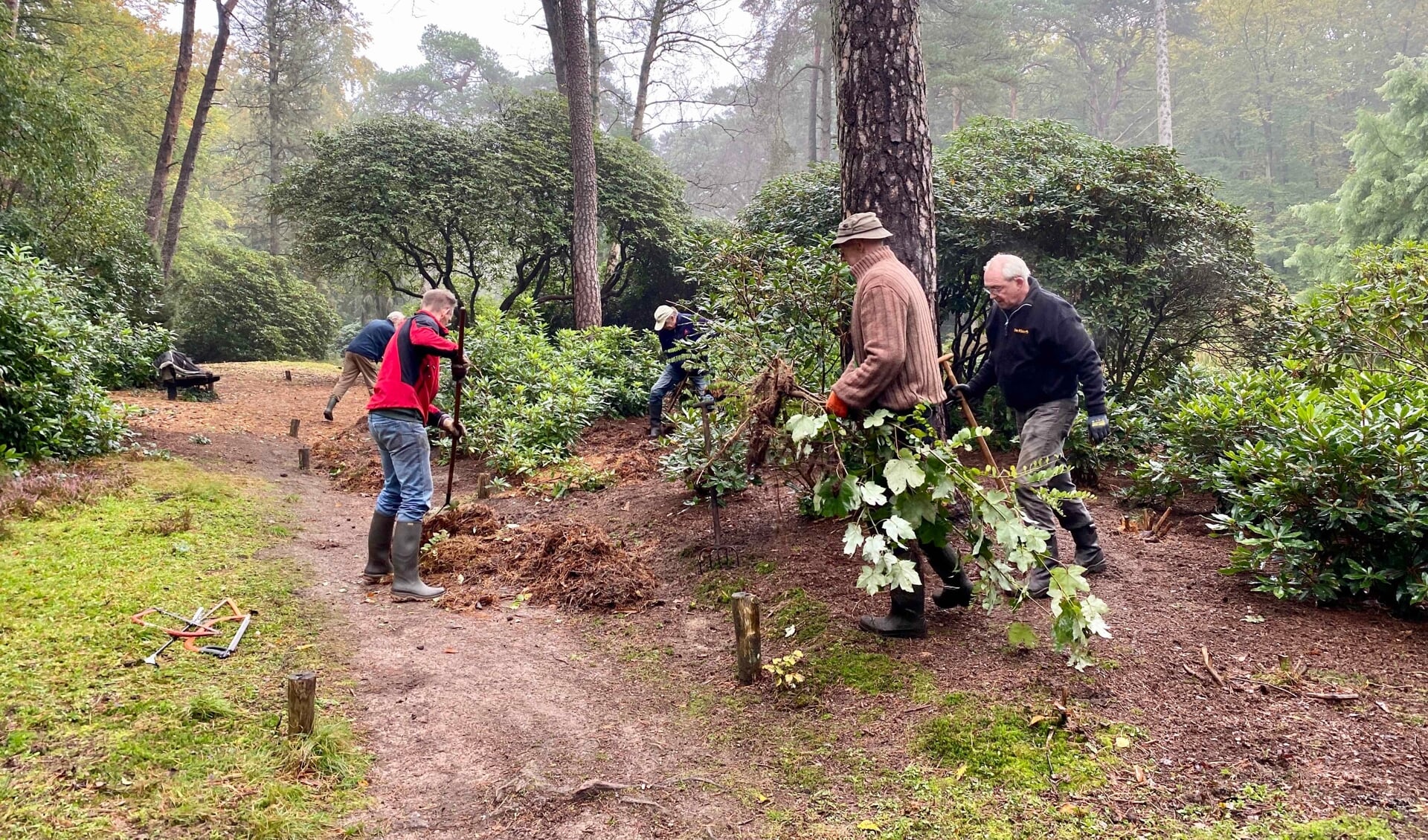Vrijwilligers maken Heidetuin winterklaar