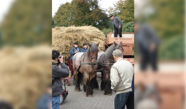 De rogge wordt aangevoerd met paard en boerenwagen.