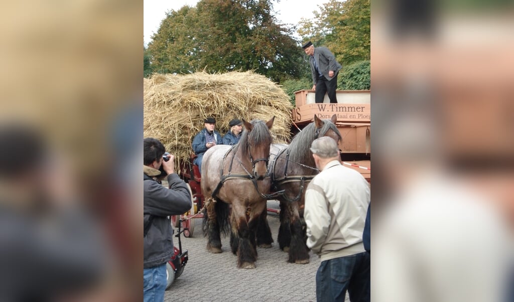 De rogge wordt aangevoerd met paard en boerenwagen.