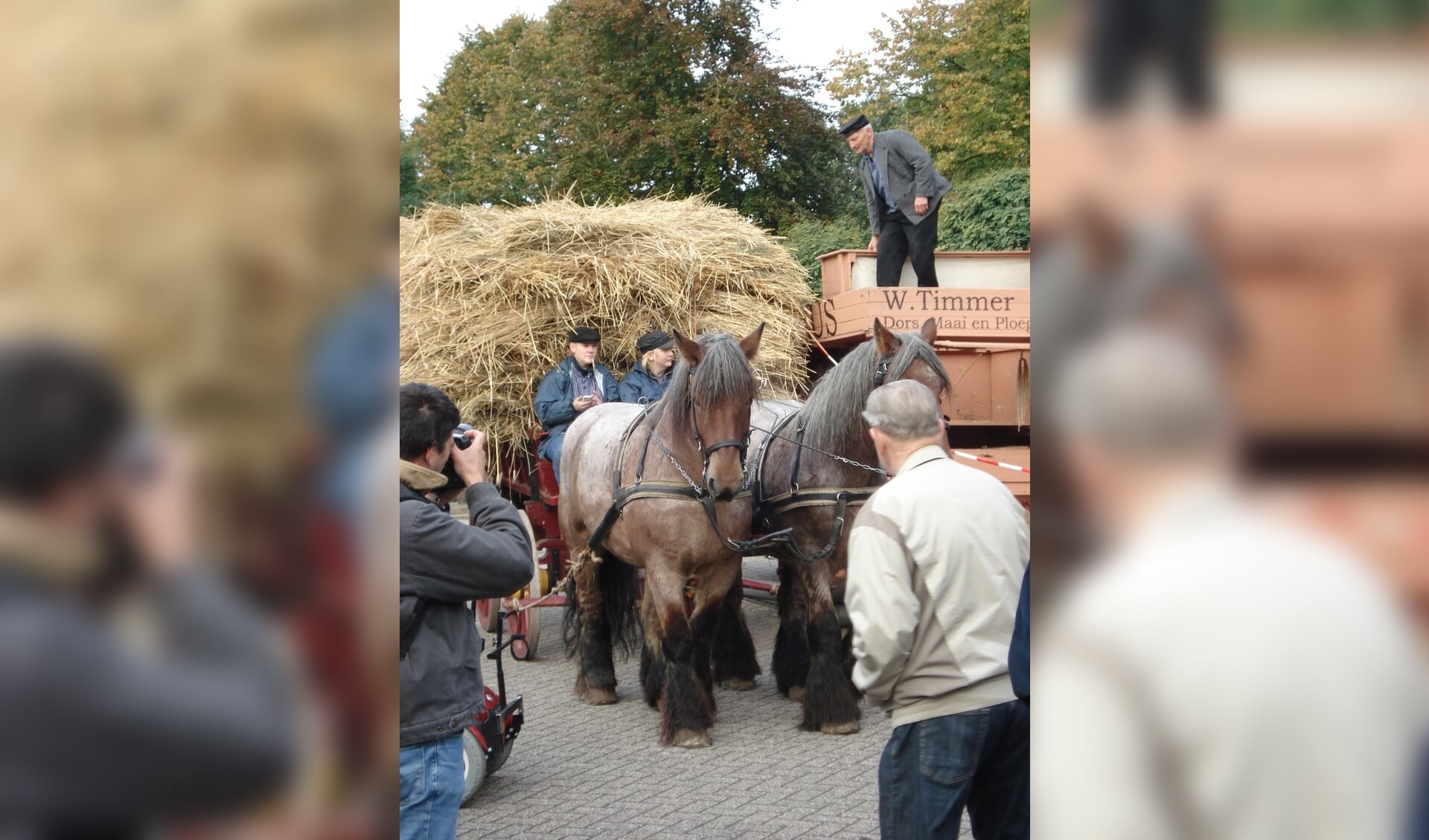 De rogge wordt aangevoerd met paard en boerenwagen.