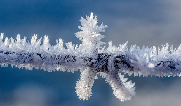 wintertak