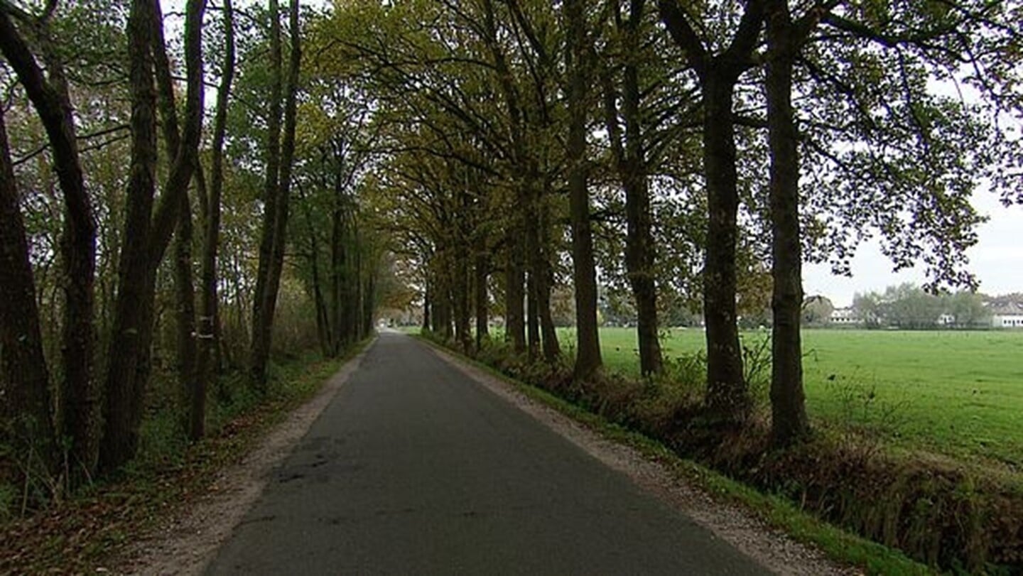 De Stroeërschoolweg, die parallel loopt aan de spoorlijn Amersfoort-Apeldoorn.