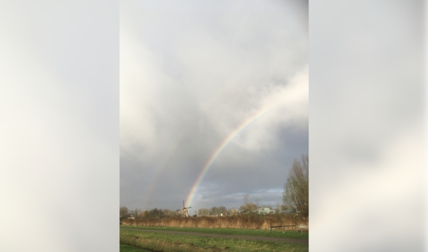 Regenboog