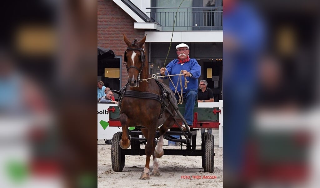 Gijs van Zijtveld op Excelente W. tijdens de nationale tuigpaardendag in Ermelo, kampioenschap  voor de landbouwwagen.