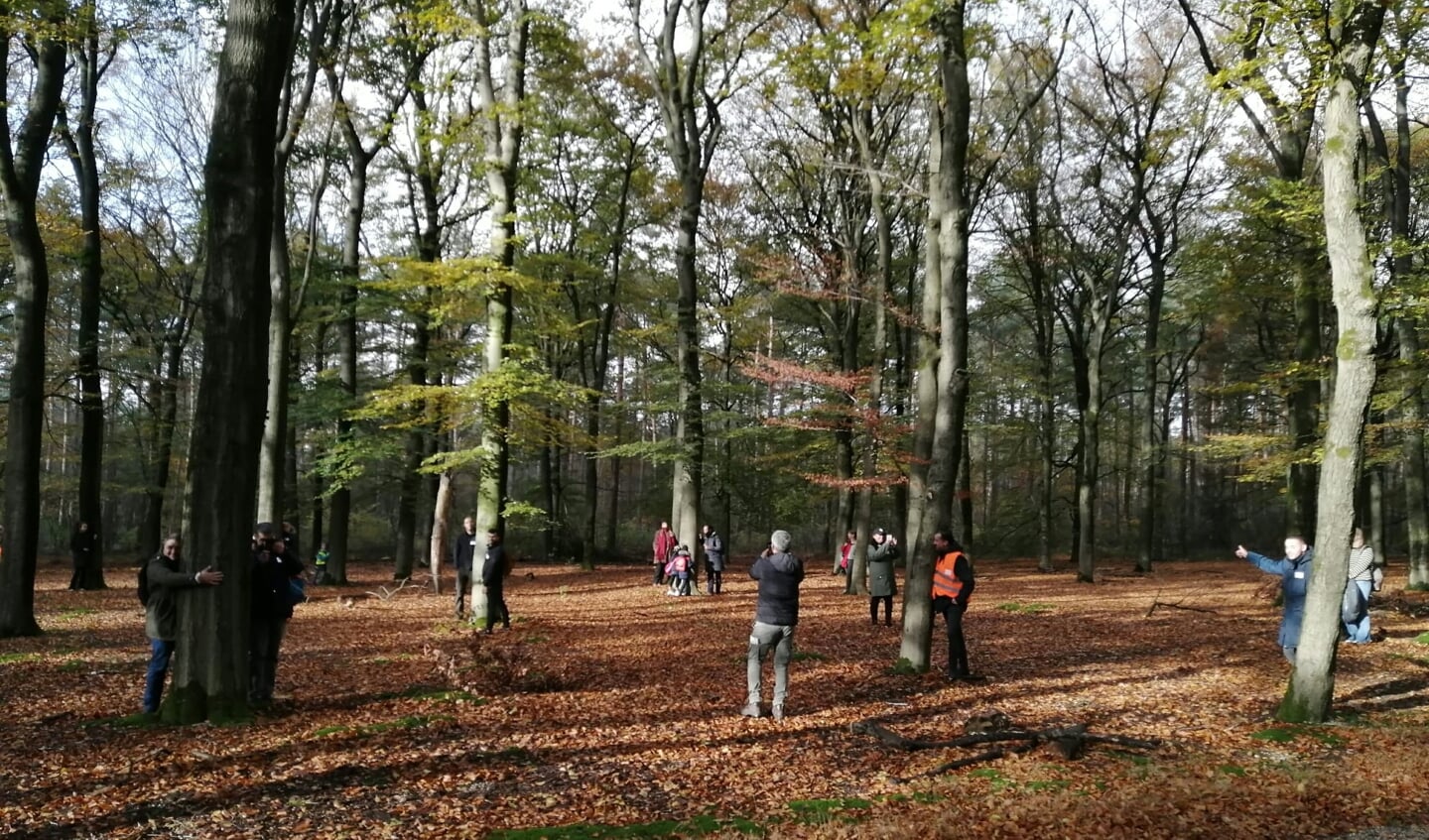 Deelnemers wandeltocht: knuffelmoment bomen
