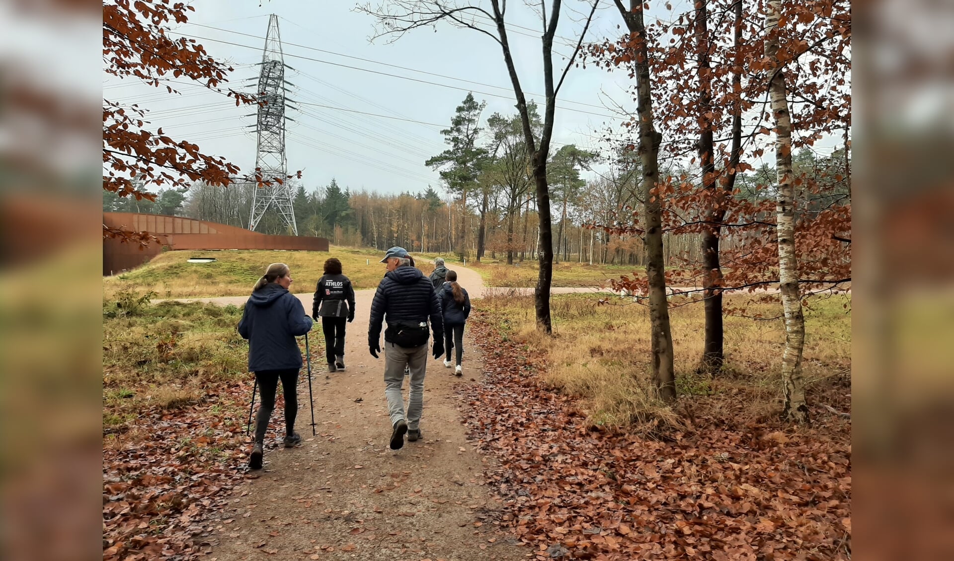 wandelaars in het bos