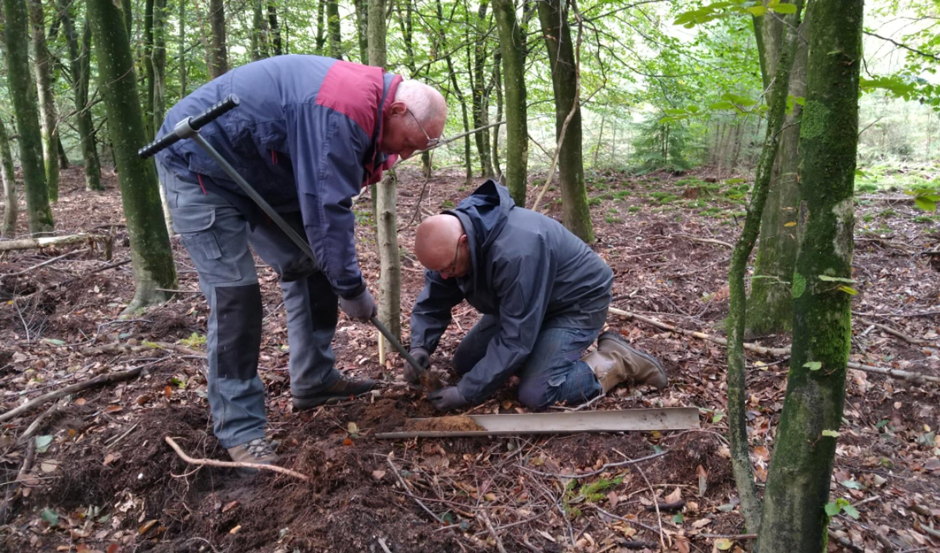 Vrijwilligers bezig met een grondboring in het Speulder- en Sprielderbos.